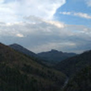 Meet your Posher, Grayson